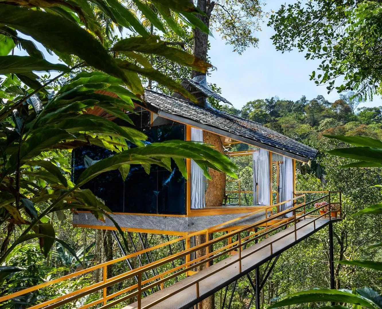 Eterno Camellia & Elettaria Resort With Pool Munnar India